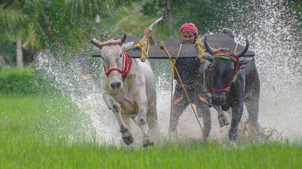 FMCG Brands are optimistic due to the anticipated Good&nbsp;Monsoon